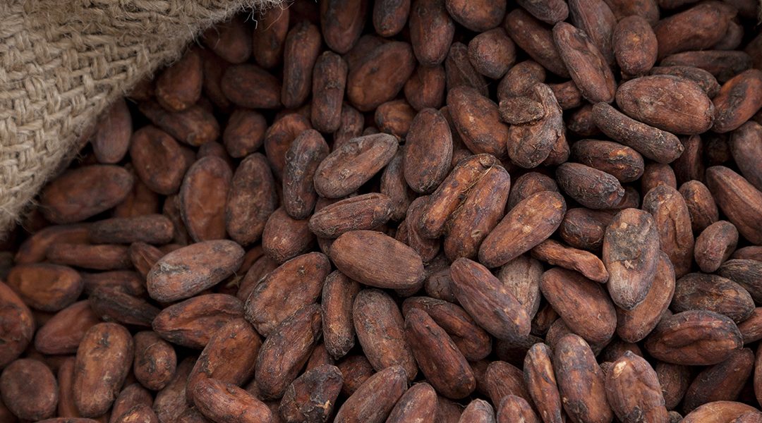 90% Reduction in Cocoa Humidity damage